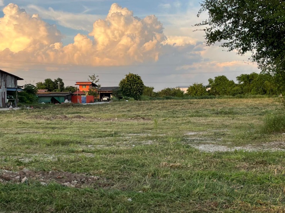 ที่ดิน อ.เมืองชลบุรี / (ขาย), Land Amphoe Mueang Chon Buri / (SALE) AA028