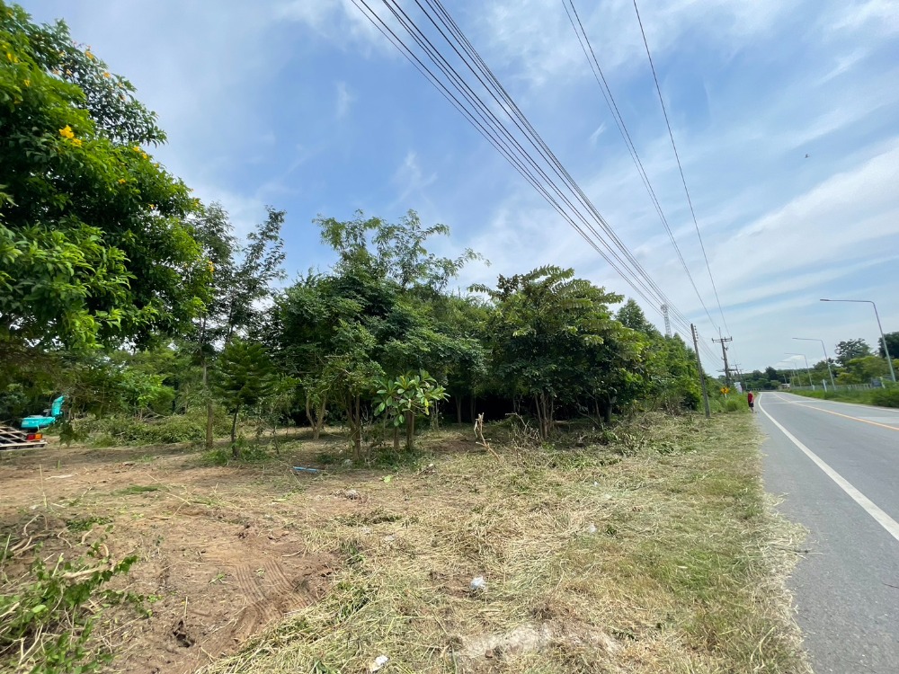 ที่ดิน พนัสนิคม / (ขาย), Land Phanat Nikhom / (SALE) AA040