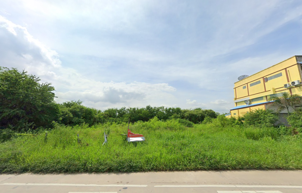 ที่ดิน หนองชาก บ้านบึง / (ขาย), Land Nong Chak Ban Bueng / (SALE) AA041