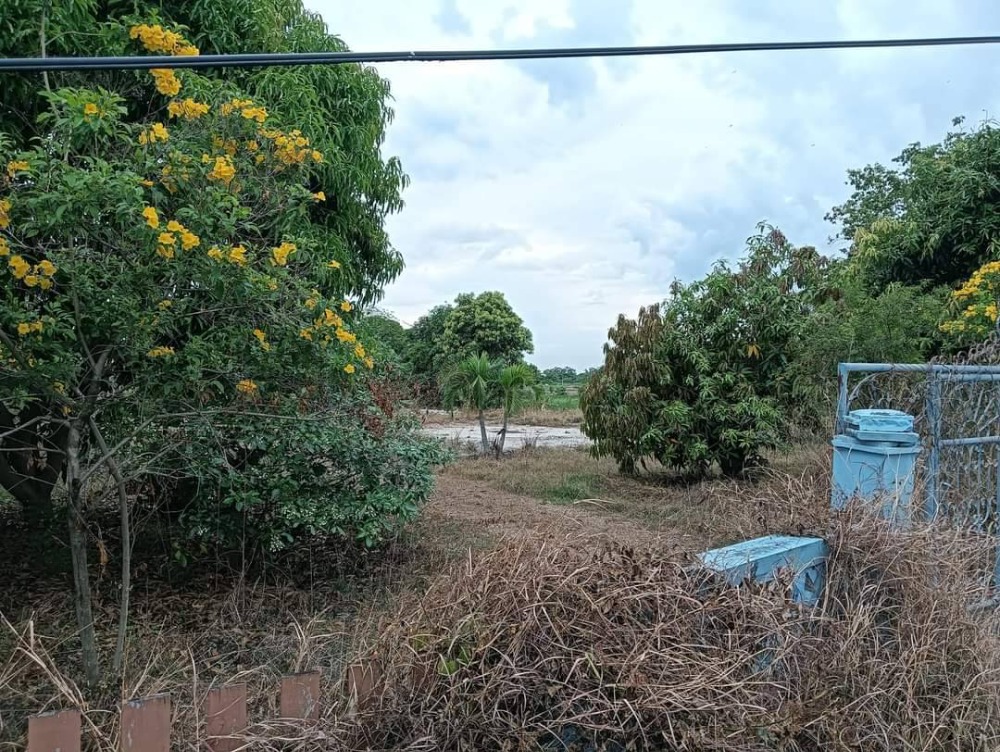 ที่ดิน โคกเพลาะ พนัสนิคม / (ขาย), Land Khok Phlo Phanat Nikhom / (SALE) AA042