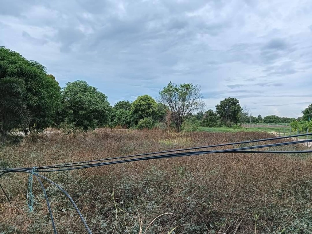 ที่ดิน โคกเพลาะ พนัสนิคม / (ขาย), Land Khok Phlo Phanat Nikhom / (SALE) AA042