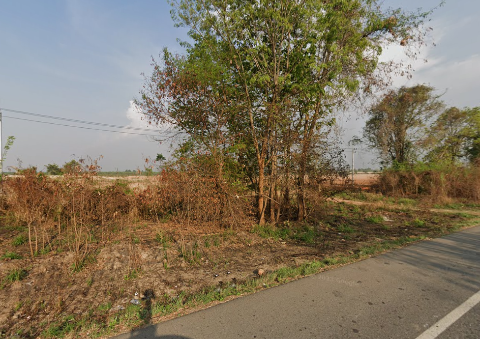 ที่ดิน พนัสนิคม / (ขาย), Land Phanat Nikhom / (SALE) AA058