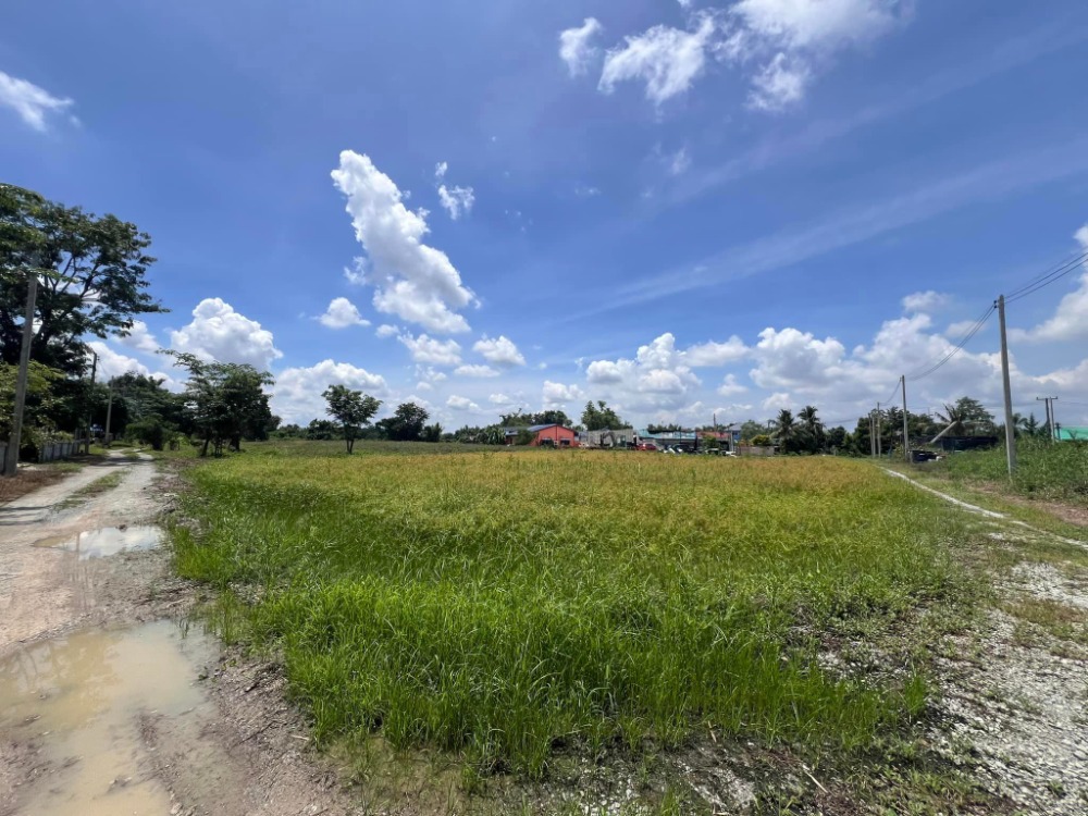 ที่ดิน บ้านเซิด พนัสนิคม / (ขาย), Land Ban Soet Phanat Nikhom / (SALE) AA055