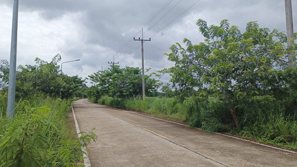 ที่ดิน เนินหิน พนัสนิคม / (ขาย), Land Noen Hin Phanat Nikhom / (SALE) AA059