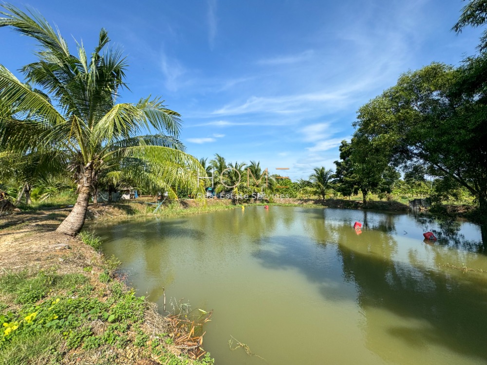 ที่ดิน จังหวัดปราจีนบุรี สวนทุเรียน / 44 ไร่ 2 งาน 14 ตารางวา (ขาย), Land Prachinburi with Durian Plantation / 71,256 Square Metre (FOR SALE) COF053