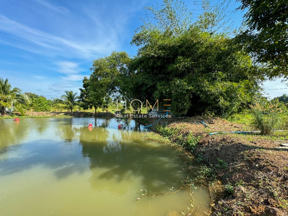 ที่ดิน จังหวัดปราจีนบุรี สวนทุเรียน / 44 ไร่ 2 งาน 14 ตารางวา (ขาย), Land Prachinburi with Durian Plantation / 71,256 Square Metre (FOR SALE) COF053