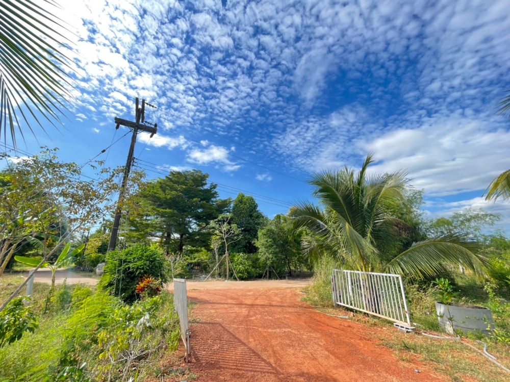 ที่ดิน จังหวัดปราจีนบุรี สวนทุเรียน / 44 ไร่ 2 งาน 14 ตารางวา (ขาย), Land Prachinburi with Durian Plantation / 71,256 Square Metre (FOR SALE) COF053