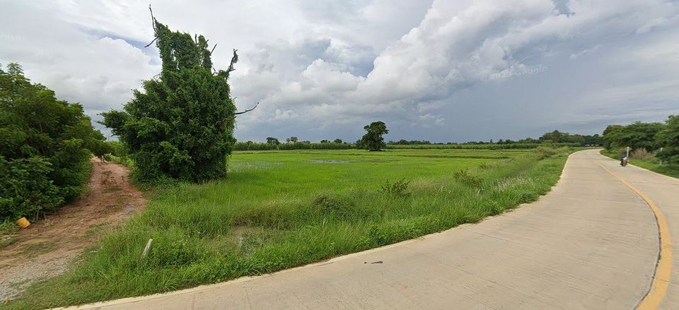 ที่ดิน หนองเหียง พนัสนิคม / (ขาย), Land Nong Hiang Phanat Nikhom / (SALE) AA074