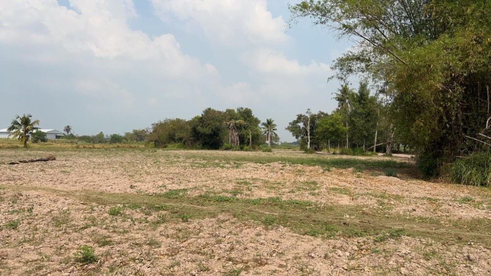 ที่ดิน ต.หนองบอนแดง อ.บ้านบึง / (ขาย), Land Nong Bon Daeng Ban Bung / (SALE) AA079