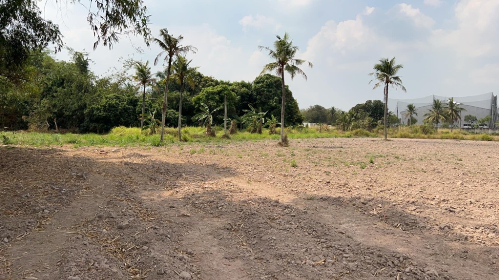 ที่ดิน ต.หนองบอนแดง อ.บ้านบึง / (ขาย), Land Nong Bon Daeng Ban Bung / (SALE) AA079