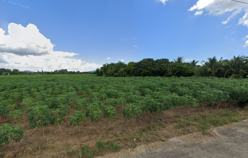 ที่ดิน วัดท่อใหญ่ บ้านบึง / (ขาย), Land Wat Tho Yai Ban Bueng / (SALE) AA083