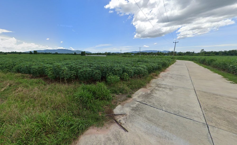 ที่ดิน วัดท่อใหญ่ บ้านบึง / (ขาย), Land Wat Tho Yai Ban Bueng / (SALE) AA083