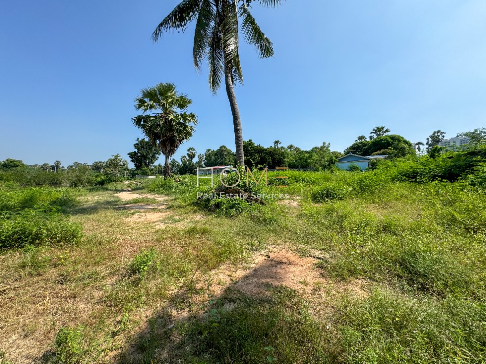 ที่ดิน ใกล้ชายหาดชะอำ / 1 ไร่ 1 งาน 63 ตารางวา (ขาย), Land near Cha Am Beach / 1 Rai 1 Ngan 63 Square Wa (FOR SALE) COF583