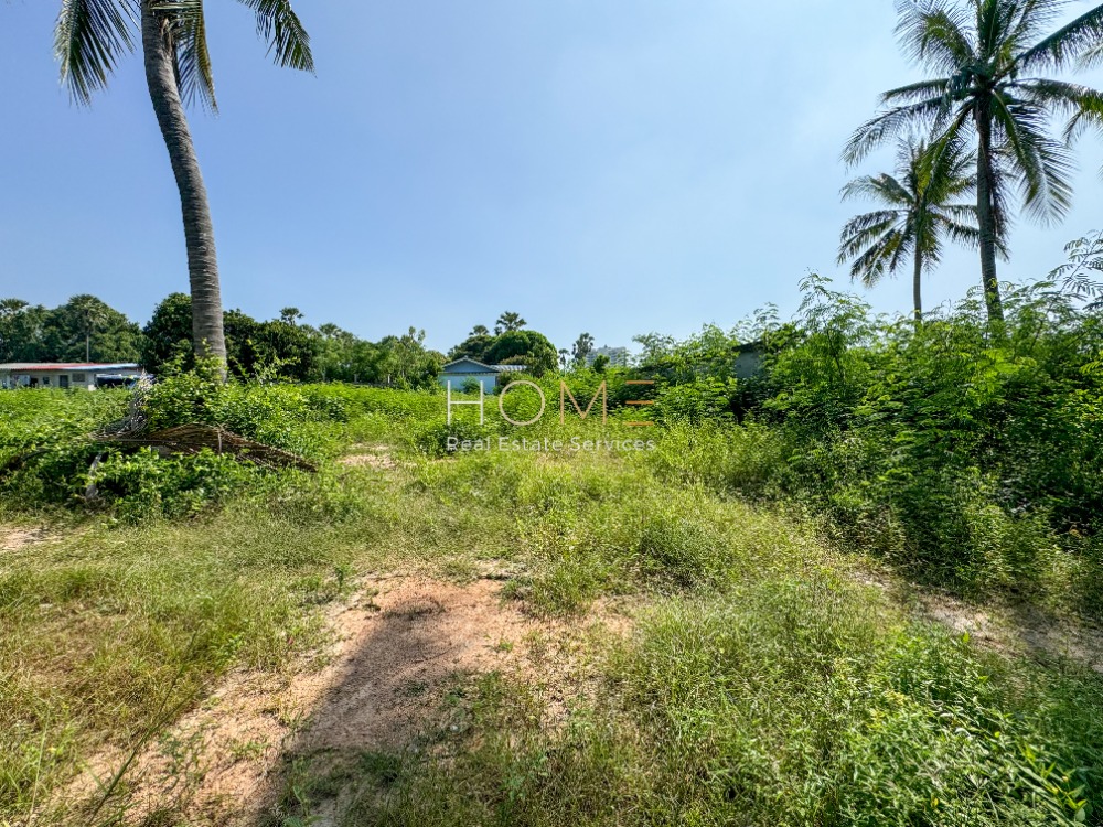 ที่ดิน ใกล้ชายหาดชะอำ / 1 ไร่ 1 งาน 63 ตารางวา (ขาย), Land near Cha Am Beach / 1 Rai 1 Ngan 63 Square Wa (FOR SALE) COF583