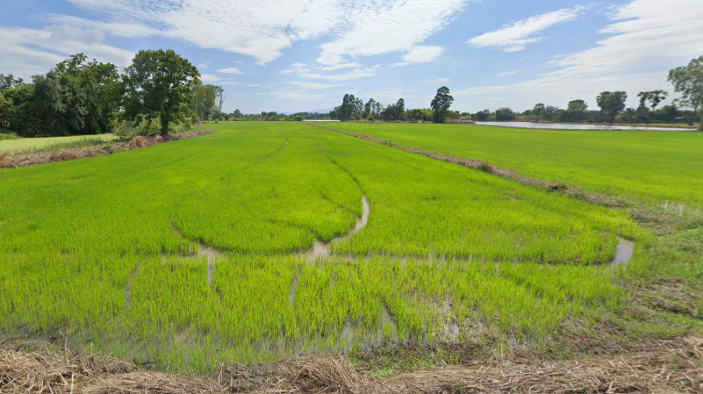 ที่ดิน บ้านเซิด พนัสนิคม / (ขาย), Land Ban Soet Phanat Nikhom / (SALE) AA076