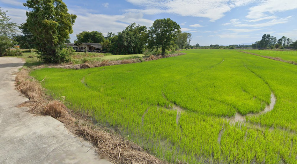 ที่ดิน บ้านเซิด พนัสนิคม / (ขาย), Land Ban Soet Phanat Nikhom / (SALE) AA076