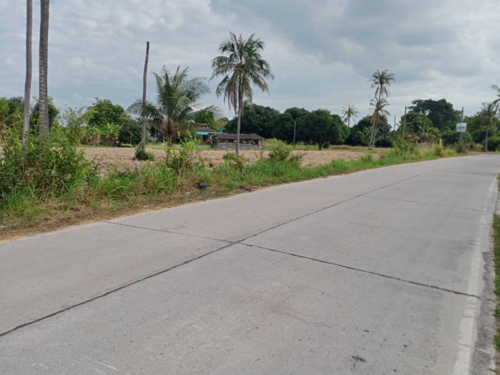 ที่ดิน มาบไผ่ บ้านบึง / (ขาย), Land Map Phai Ban Bueng / (SALE) AA084