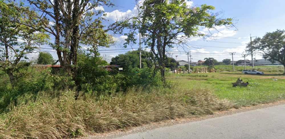 ที่ดิน หนองอิรุณ บ้านบึง / (ขาย), Land Nong Irun Ban Bueng / (SALE) AA086