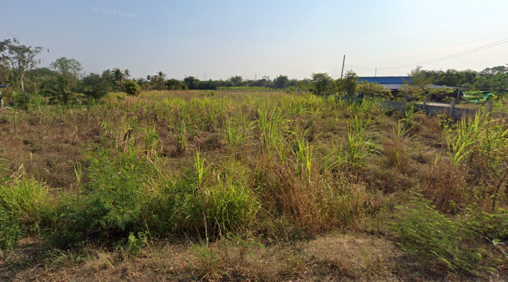 ที่ดิน หนองอิรุณ บ้านบึง / (ขาย), Land Nong Irun Ban Bueng / (SALE) AA096