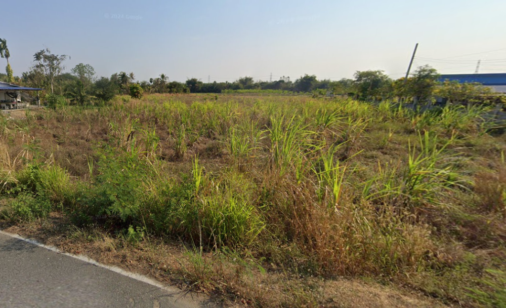 ที่ดิน หนองอิรุณ บ้านบึง / (ขาย), Land Nong Irun Ban Bueng / (SALE) AA096