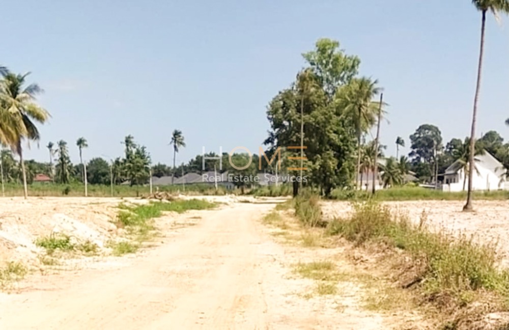 ที่ดิน บางละมุง ซอยมาบหว้า / (ขาย), Land Bang Lamung Soi Map Wa / (SALE) NEWC309