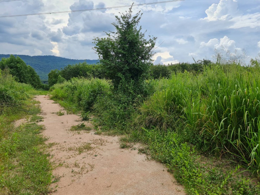 ที่ดิน ต.คลองกิ่ว บ้านบึง / (ขาย), Land Tambon Khlong Kaeo Ban Bung / (SALE) AA126