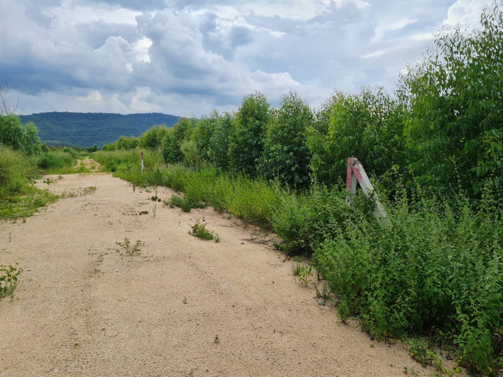 ที่ดิน ต.คลองกิ่ว บ้านบึง / (ขาย), Land Tambon Khlong Kaeo Ban Bung / (SALE) AA126