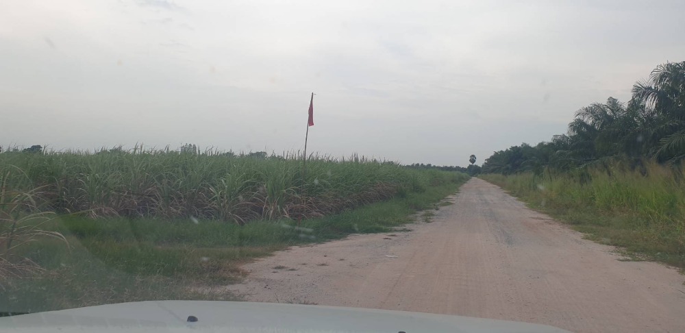 ที่ดิน หนองขยาด พนัสนิคม / (ขาย), Land Nong Khyat Phanat Nikhom / (SALE) AA133