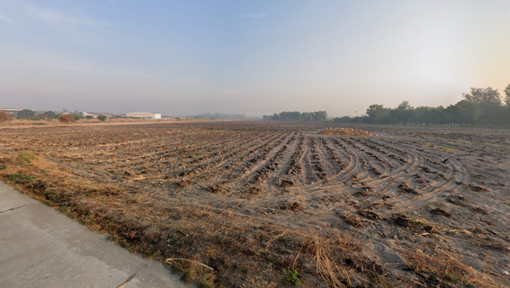 ที่ดิน หนองบอนแดง บ้านบึง / (ขาย), Land Nong Bon Daeng Ban Bueng / (SALE) AA137