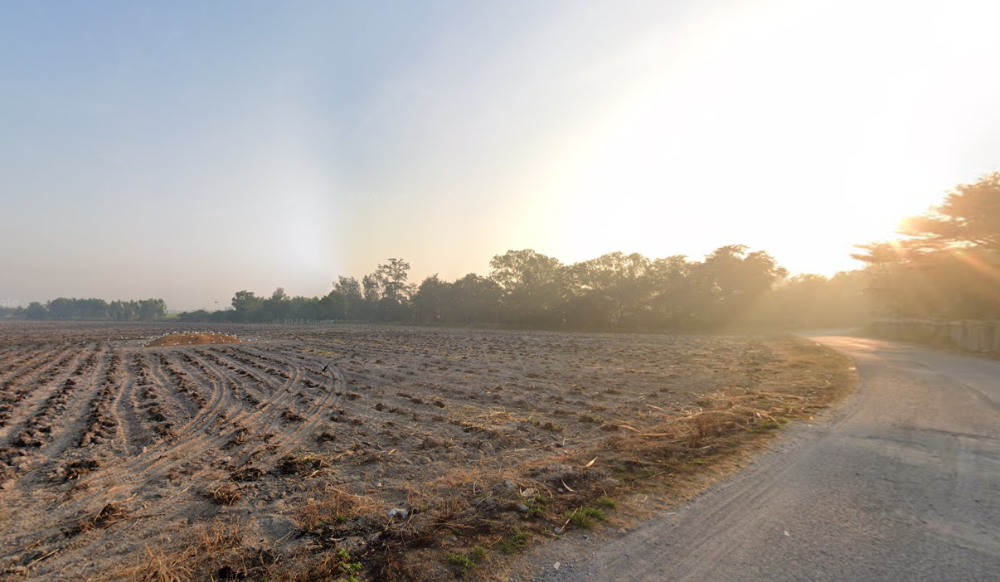 ที่ดิน หนองบอนแดง บ้านบึง / (ขาย), Land Nong Bon Daeng Ban Bueng / (SALE) AA137