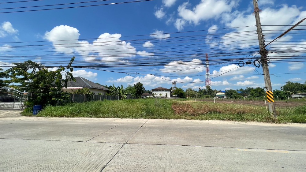 ที่ดิน ต.หน้าพระธาตุ พนัสนิคม / (ขาย), Land Na Phra That Phanat Nikhom / (SALE) AA157