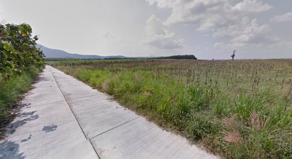 ที่ดิน ต.ธาตุทอง บ่อทอง / (ขาย), Land That Thong Bo Thong / (SALE) AA148