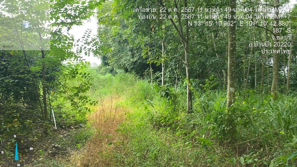 ที่ดิน หนองอิรุณ บ้านบึง / (ขาย), Land Nong Irun Ban Bueng / (SALE) AA158