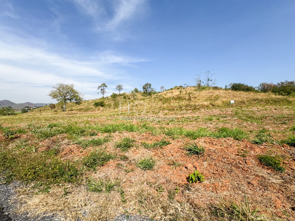 ที่ดิน เขาใหญ่ ปากช่อง ใกล้คีรีมายารีสอร์ต / (ขาย), Land Khao Yai Pak Chong near Kirimaya Resort / (SALE) COF633