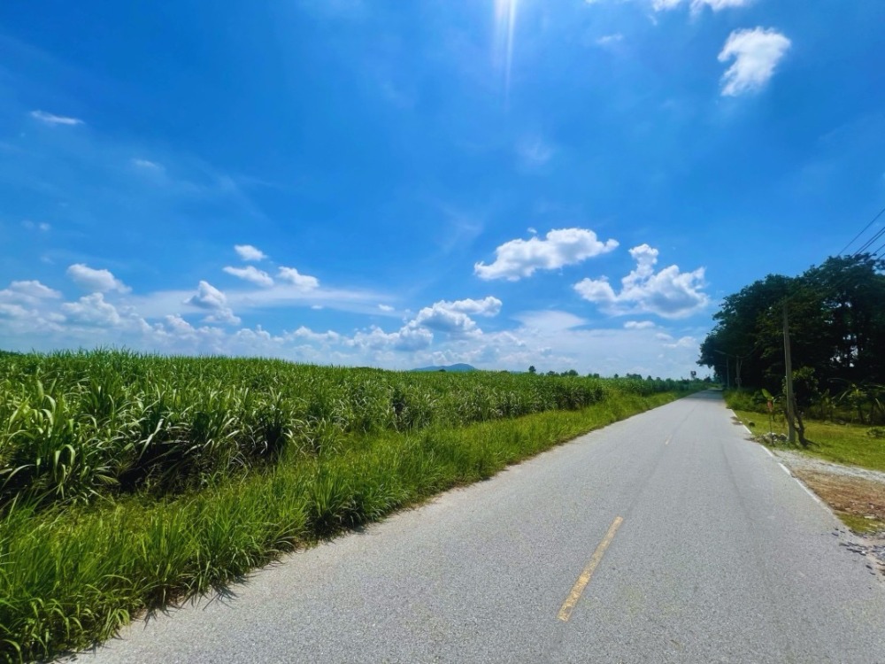 ที่ดิน บ้านบึง ชลบุรี / (ขาย), Land Ban Bueng Chonburi / (SALE) COF639