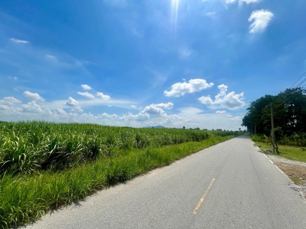 ที่ดิน บ้านบึง ชลบุรี / (ขาย), Land Ban Bueng Chonburi / (SALE) COF639