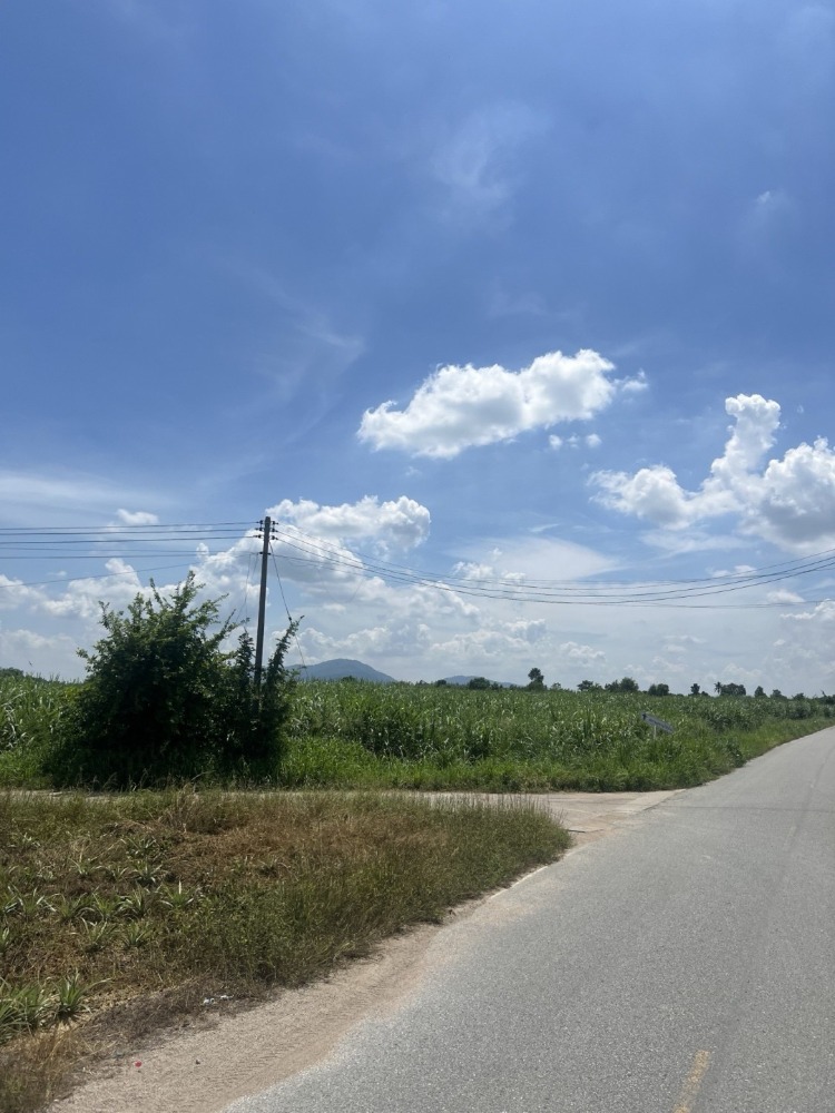 ที่ดิน บ้านบึง ชลบุรี / (ขาย), Land Ban Bueng Chonburi / (SALE) COF639