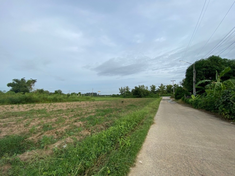 ที่ดิน ต.หนองอิรุณ อ.บ้านบึง / (ขาย), Land Tambon Nong Irun Amphoe Ban Bueng / (SALE) AA180