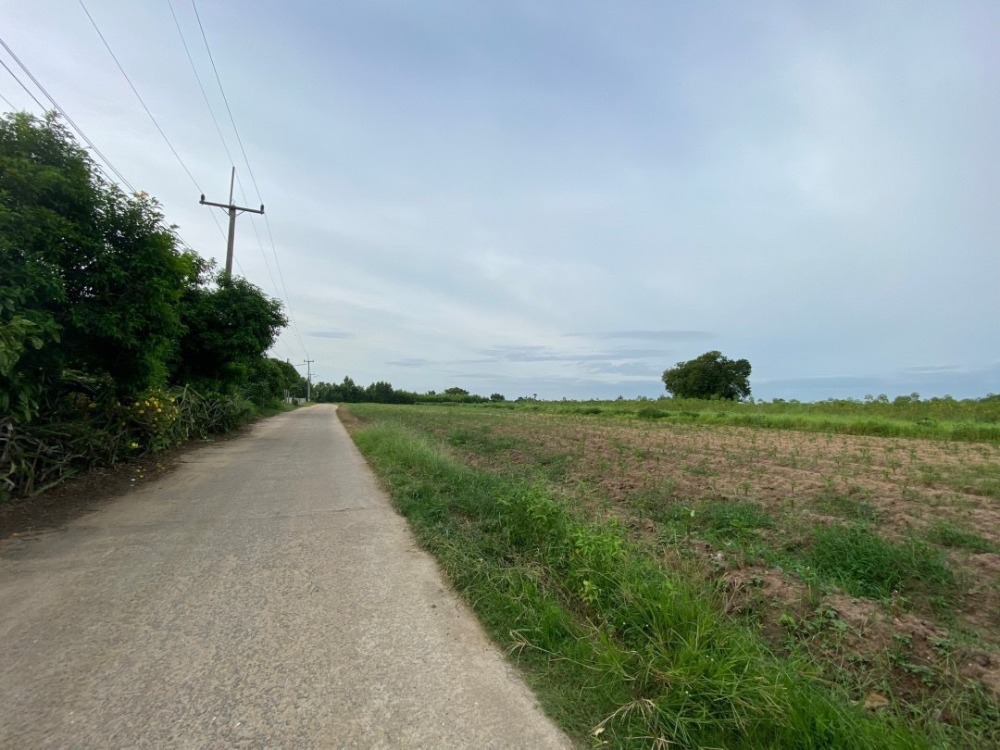 ที่ดิน ต.หนองอิรุณ อ.บ้านบึง / (ขาย), Land Tambon Nong Irun Amphoe Ban Bueng / (SALE) AA180