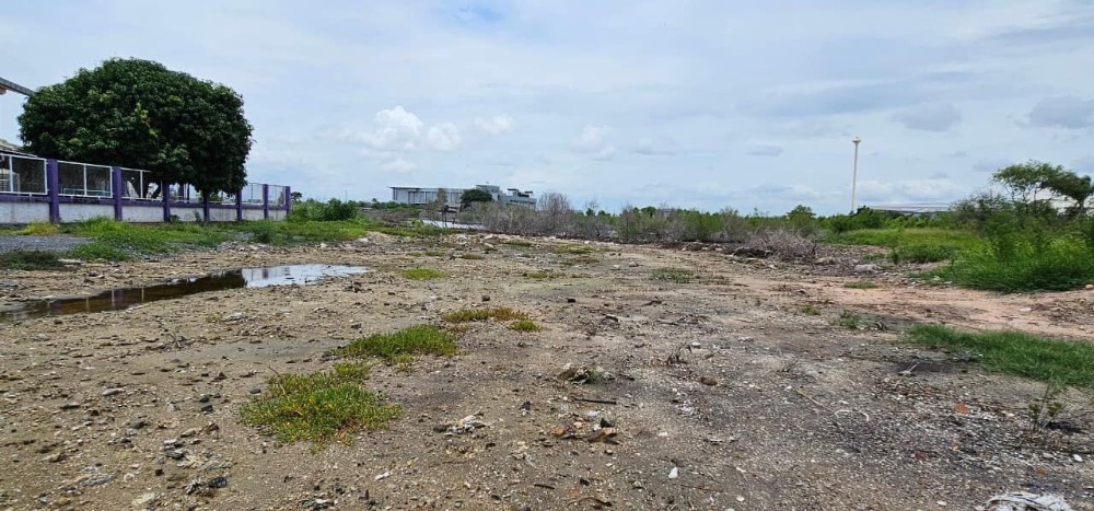 ที่ดิน ต.คลองตำหรุ อ.เมืองชลบุรี / (ขาย), Land Tambon Khlong Tamhru Amphoe Muang Chonburi / (SALE) AA191