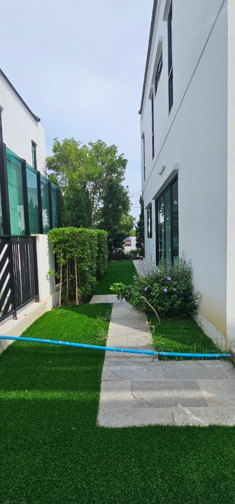 บ้านแฝด มิวส์ เทียนทะเล 15 / 4 ห้องนอน (ขาย), Mews Tientalay 15 / Semi-Detached House 4 Bedrooms (FOR SALE) DAO224