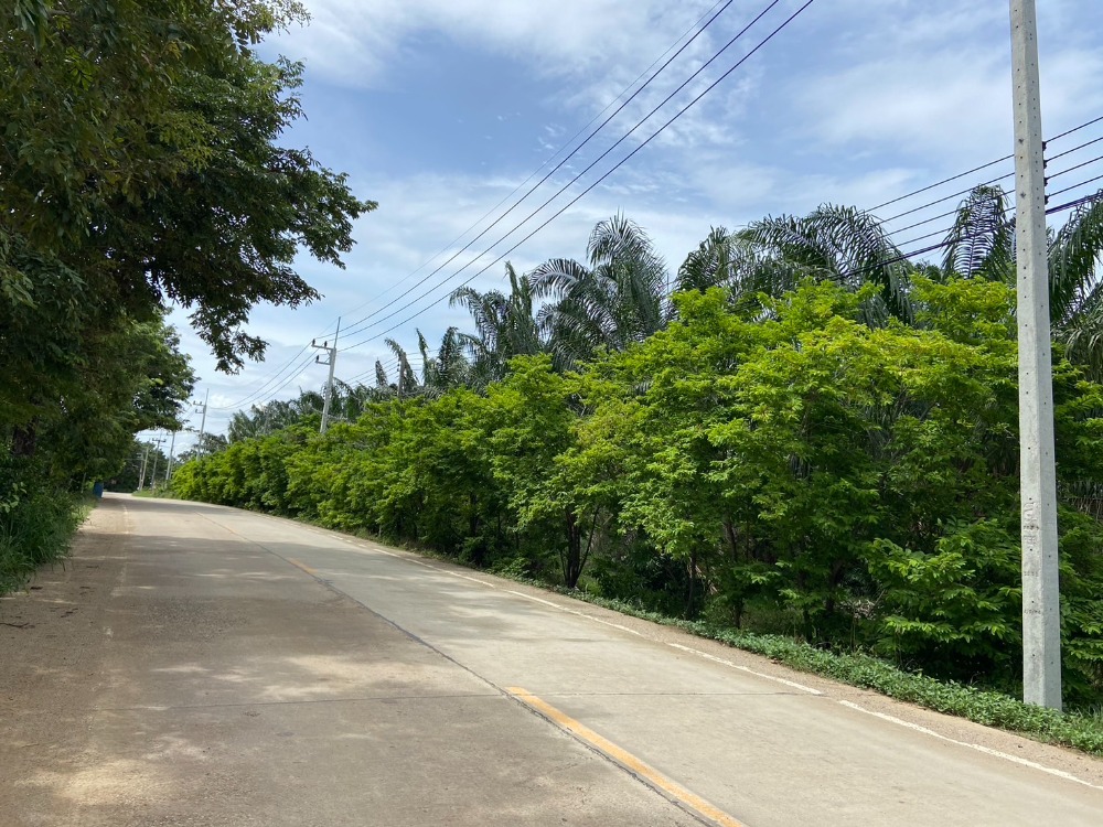 ที่ดิน ต.หนองอิรุณ อ.บ้านบึง / (ขาย), Land Nong Irun Ban Bueng / (SALE) AA216