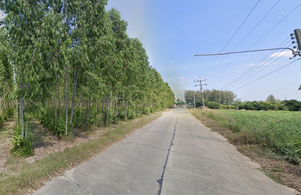 ที่ดิน ต.นาเริก อ.พนัสนิคม / (ขาย), Land Na Roek Phanat Nikhom / (SALE) AA217