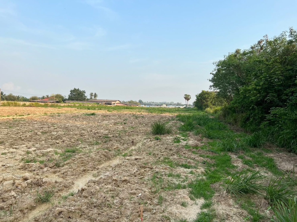 ที่ดิน ต.คลองกิ่ว อ.บ้านบึง / (ขาย), Land Khlong Kio Ban Bueng / (SALE) AA237