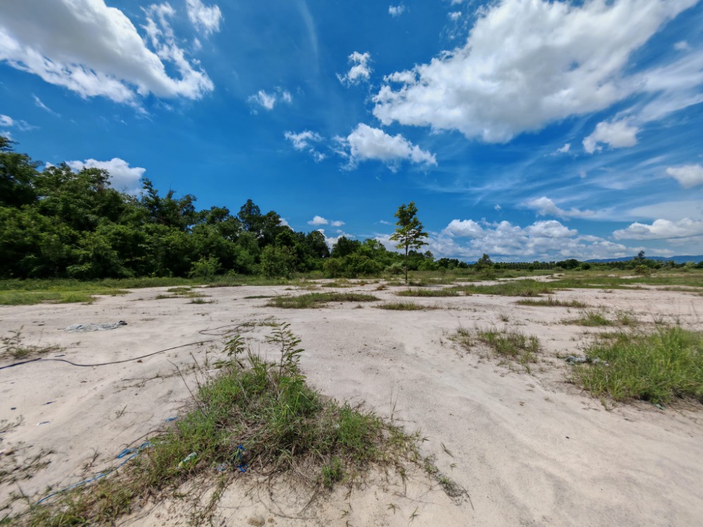 ที่ดิน ต.หนองบอนแดง อ.บ้านบึง / (ขาย), Land Nong Bon Daeng Ban Bueng / (SALE) AA240