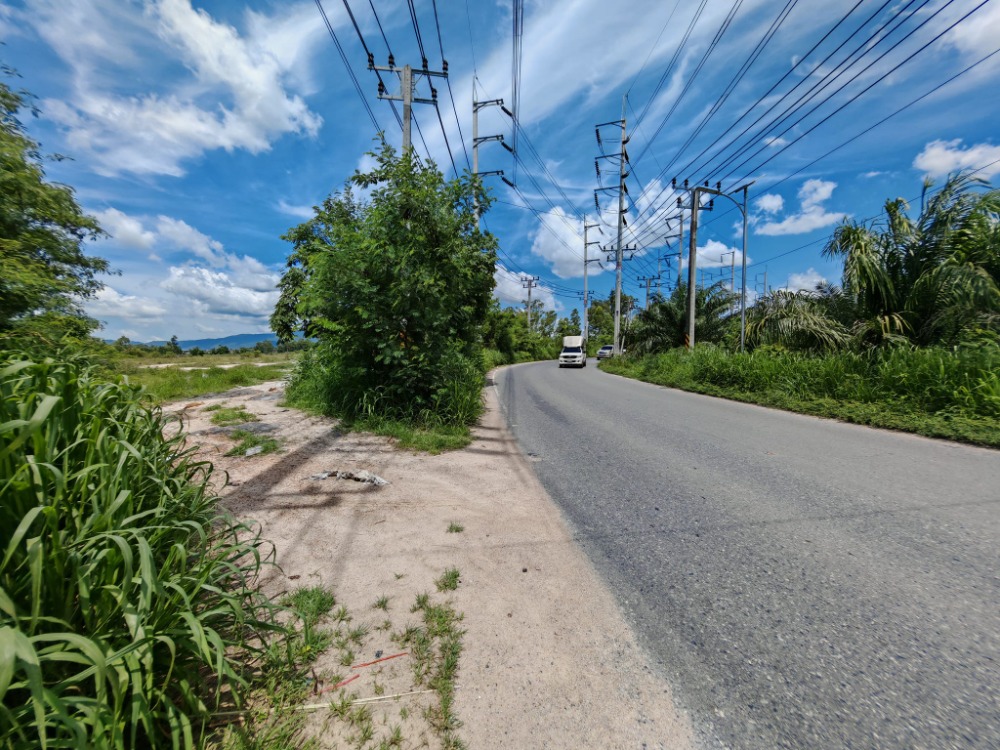 ที่ดิน ต.หนองบอนแดง อ.บ้านบึง / (ขาย), Land Nong Bon Daeng Ban Bueng / (SALE) AA240