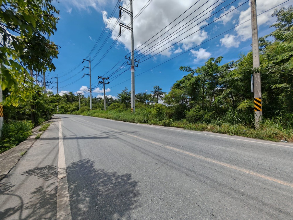 ที่ดิน ต.หนองบอนแดง อ.บ้านบึง / (ขาย), Land Nong Bon Daeng Ban Bueng / (SALE) AA240