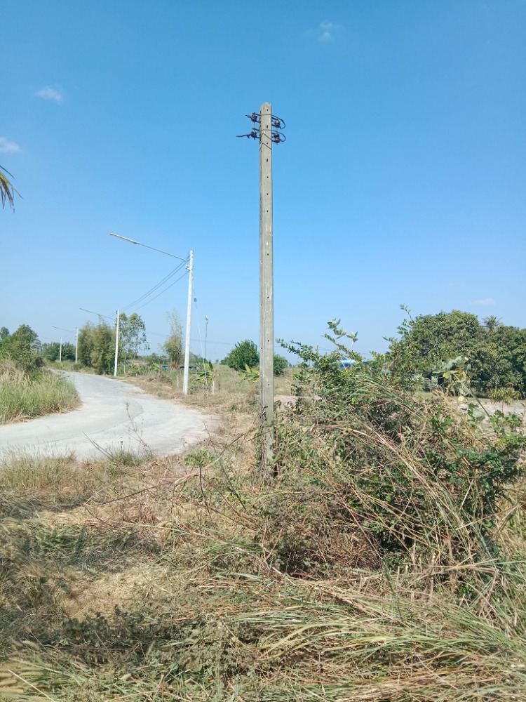 ที่ดิน ต.หนองบอนแดง อ.บ้านบึง / (ขาย), Land Nong Bon Daeng Ban Bueng / (SALE) AA241