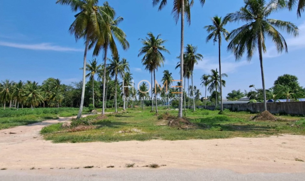 ที่ดิน ห้วยใหญ่ พัทยา / (ขาย), Land Huai Yai Pattaya / (SALE) NEWC468