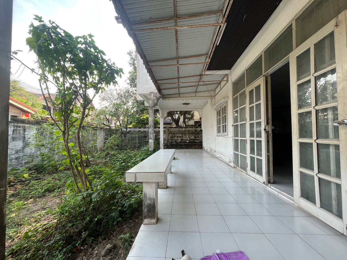 บ้านเดี่ยว ลาดพร้าว 87 แยก 6 / 3 ห้องนอน (ขาย), Detached House Ladprao 87 Yeak 6 / 3 Bedrooms (FOR SALE) TPM181